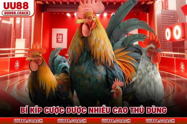 Bí kíp cược được nhiều cao thủ dùng Bí kíp cược được nhiều cao thủ dùng
