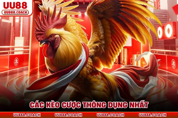 Các kèo cược thông dụng nhất Các kèo cược thông dụng nhất