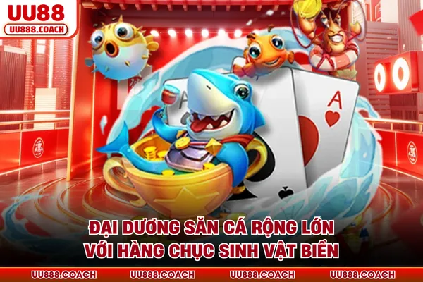 Đại dương săn cá rộng lớn với hàng chục sinh vật biển Đại dương săn cá rộng lớn với hàng chục sinh vật biển