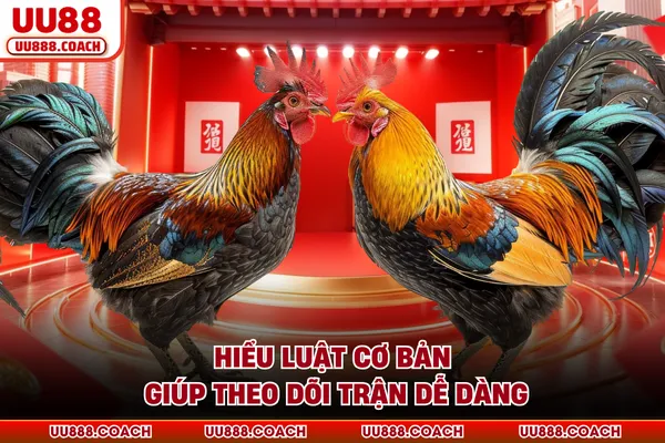 Hiểu luật cơ bản giúp theo dõi trận dễ dàng Hiểu luật cơ bản giúp theo dõi trận dễ dàng