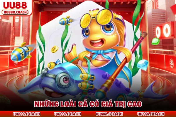 Những loài cá có giá trị cao Những loài cá có giá trị cao