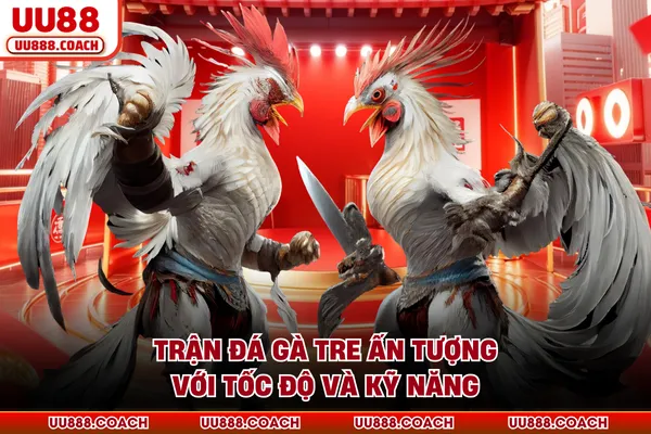 Trận đá gà tre ấn tượng với tốc độ và kỹ năng Trận đá gà tre ấn tượng với tốc độ và kỹ năng